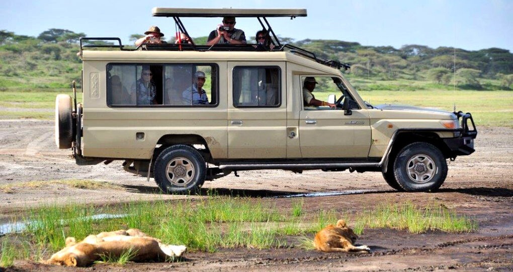 Vehicle photo
