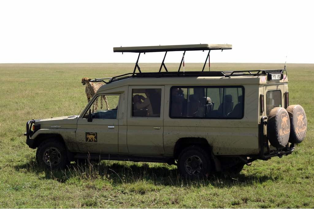 Vehicle photo